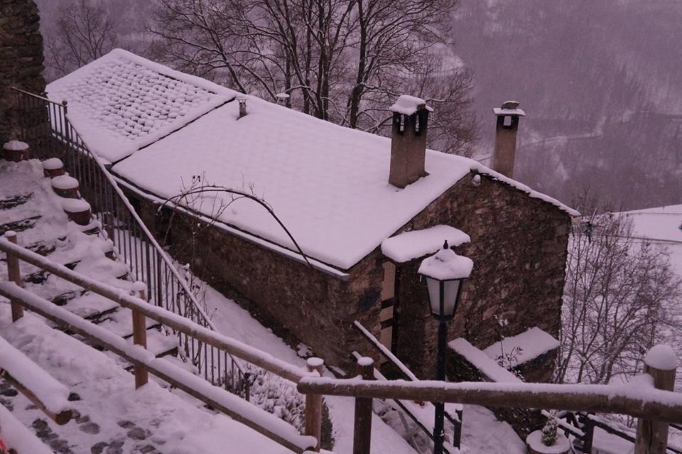 Masia Constans *