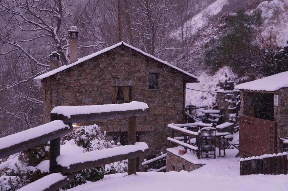 Masia Constans